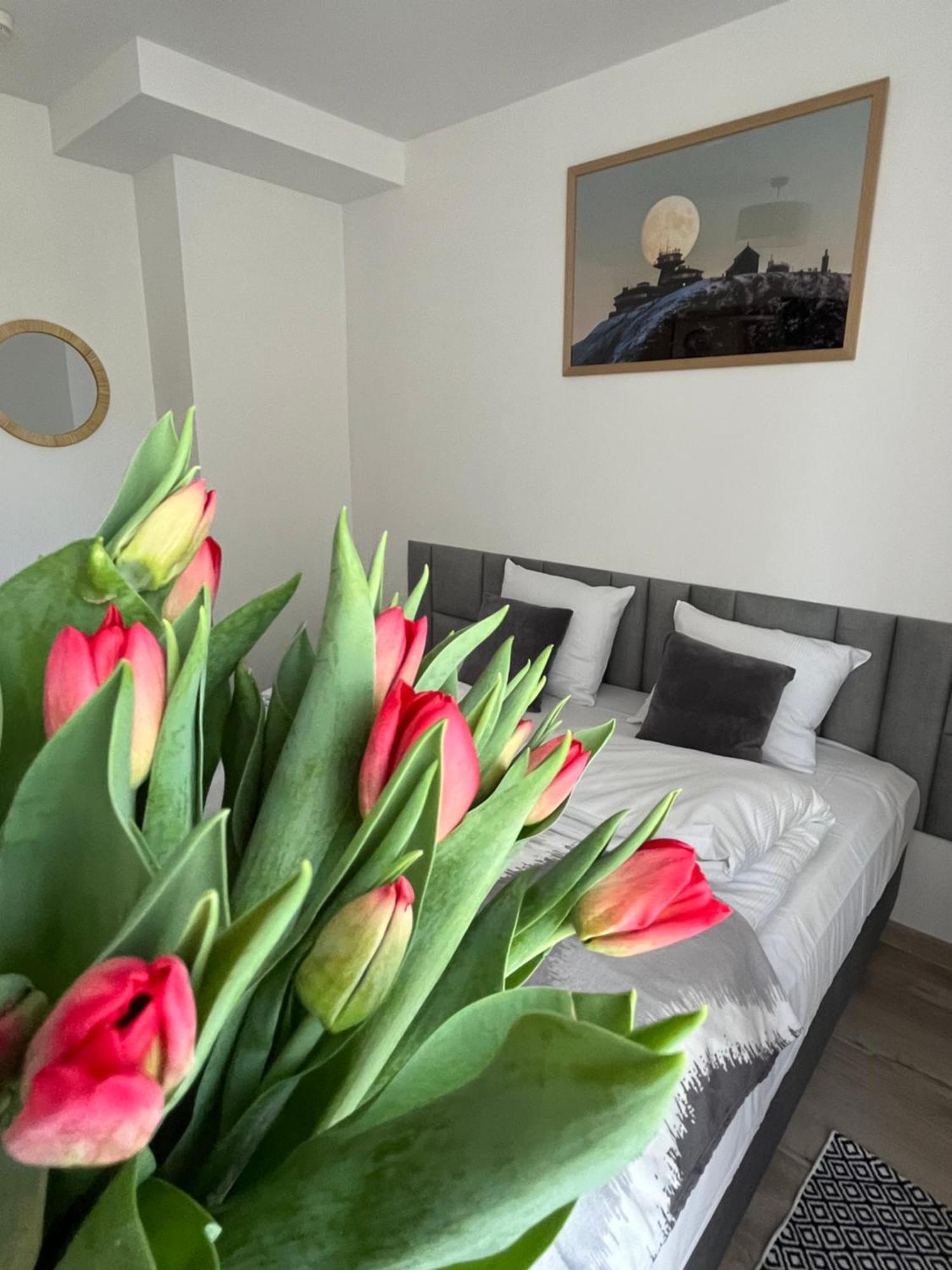 Karkonoskie Widoki Apartamenty Karpacz Dış mekan fotoğraf