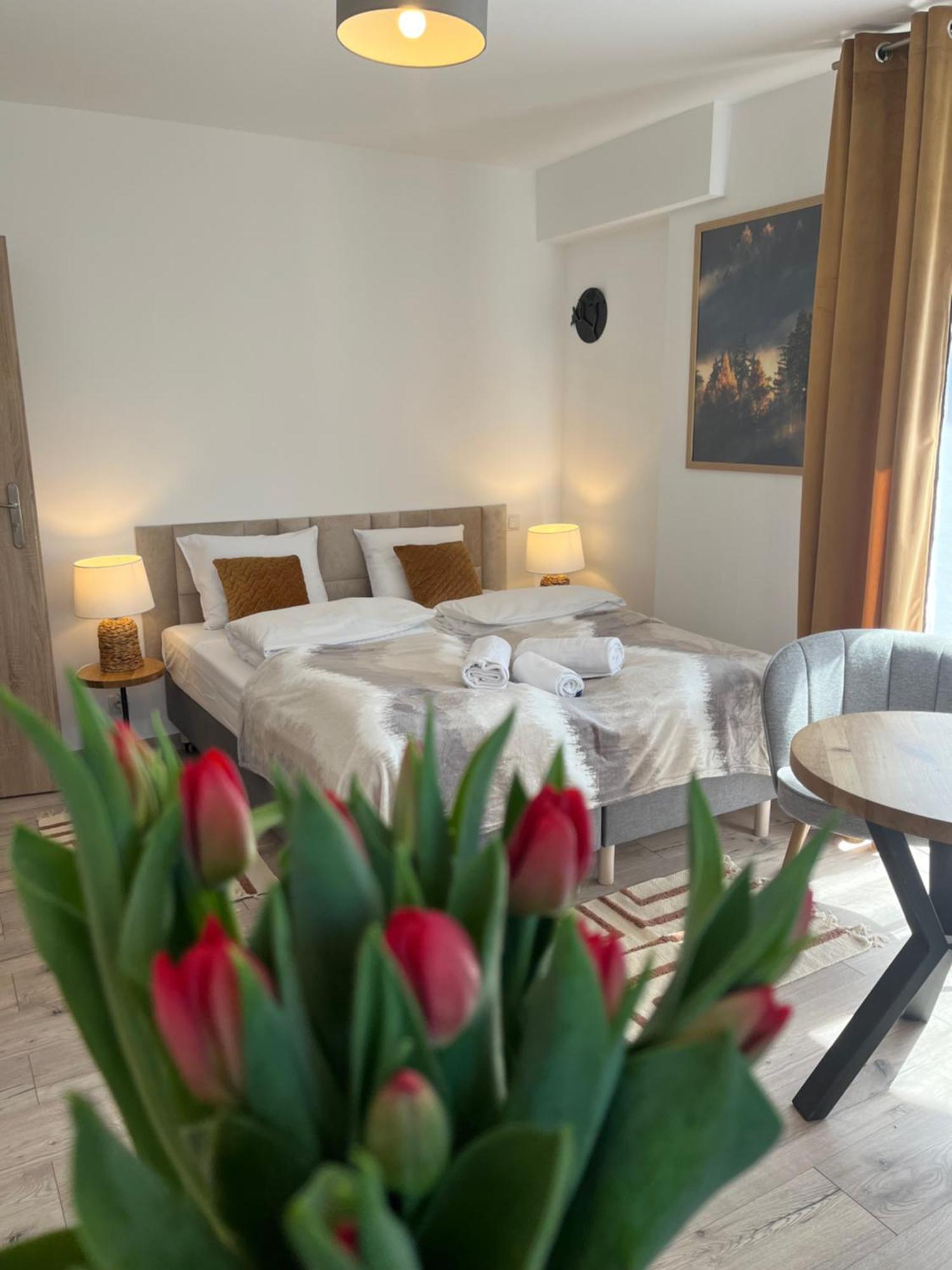 Karkonoskie Widoki Apartamenty Karpacz Dış mekan fotoğraf