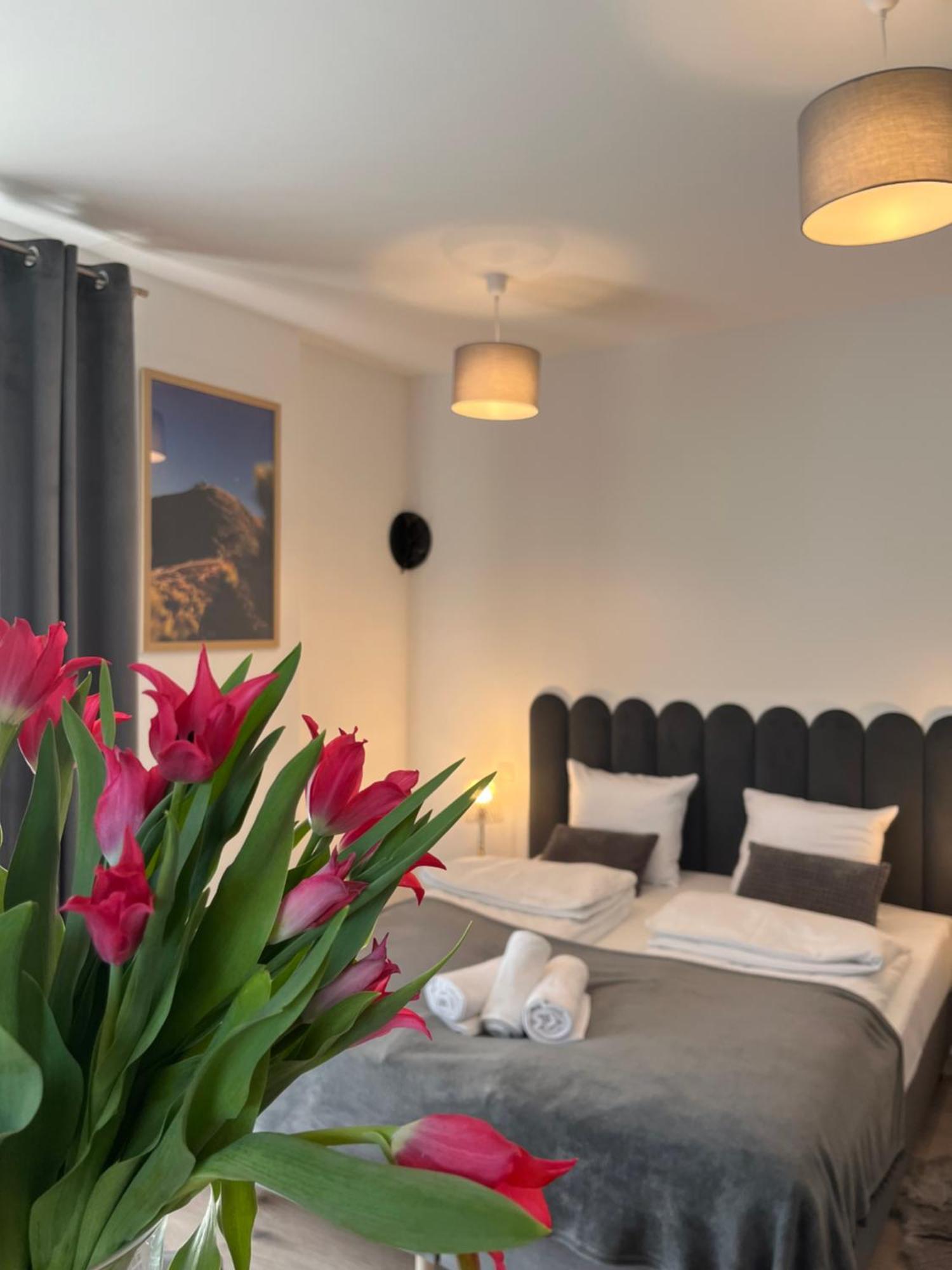 Karkonoskie Widoki Apartamenty Karpacz Dış mekan fotoğraf