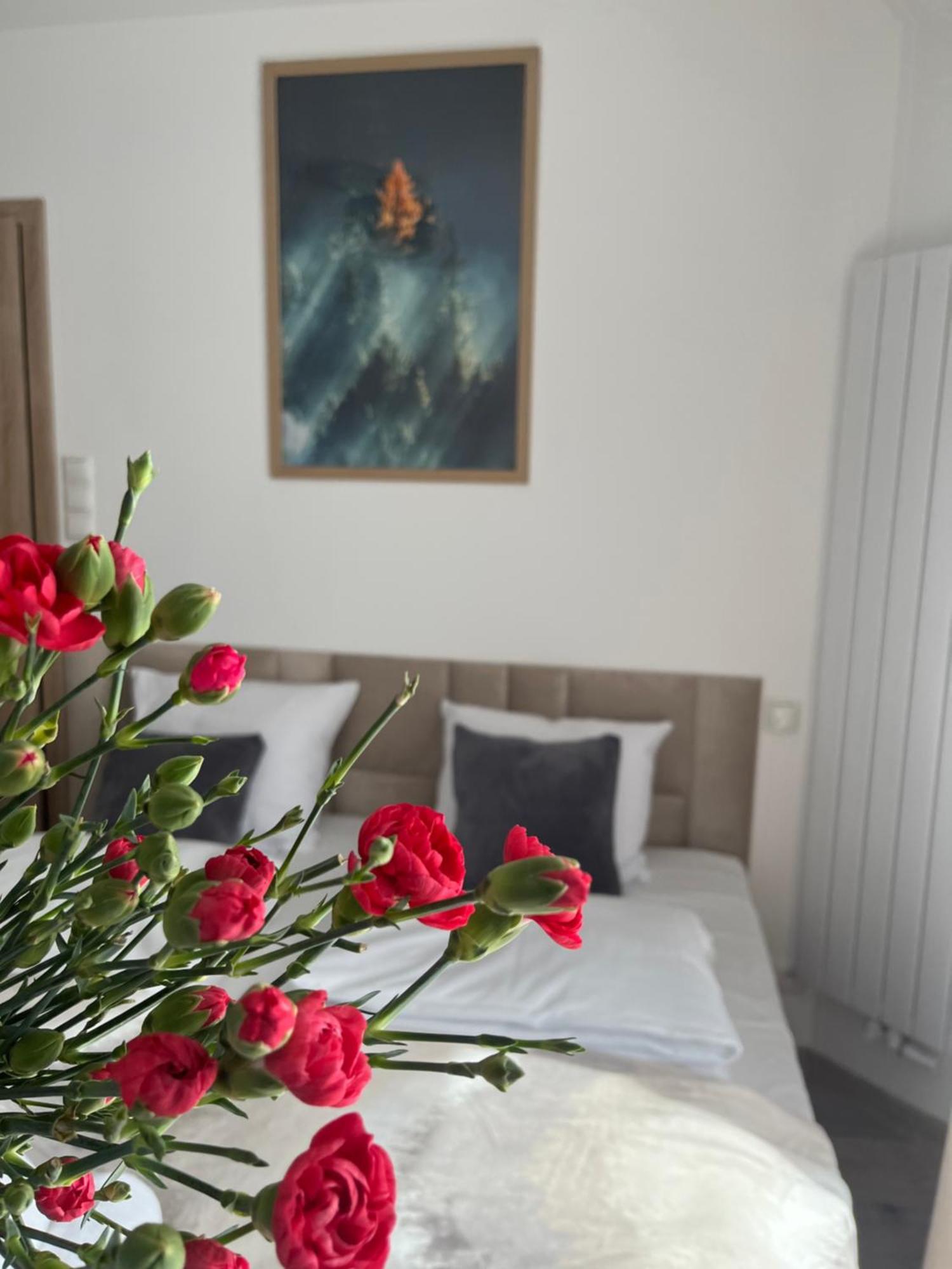 Karkonoskie Widoki Apartamenty Karpacz Dış mekan fotoğraf