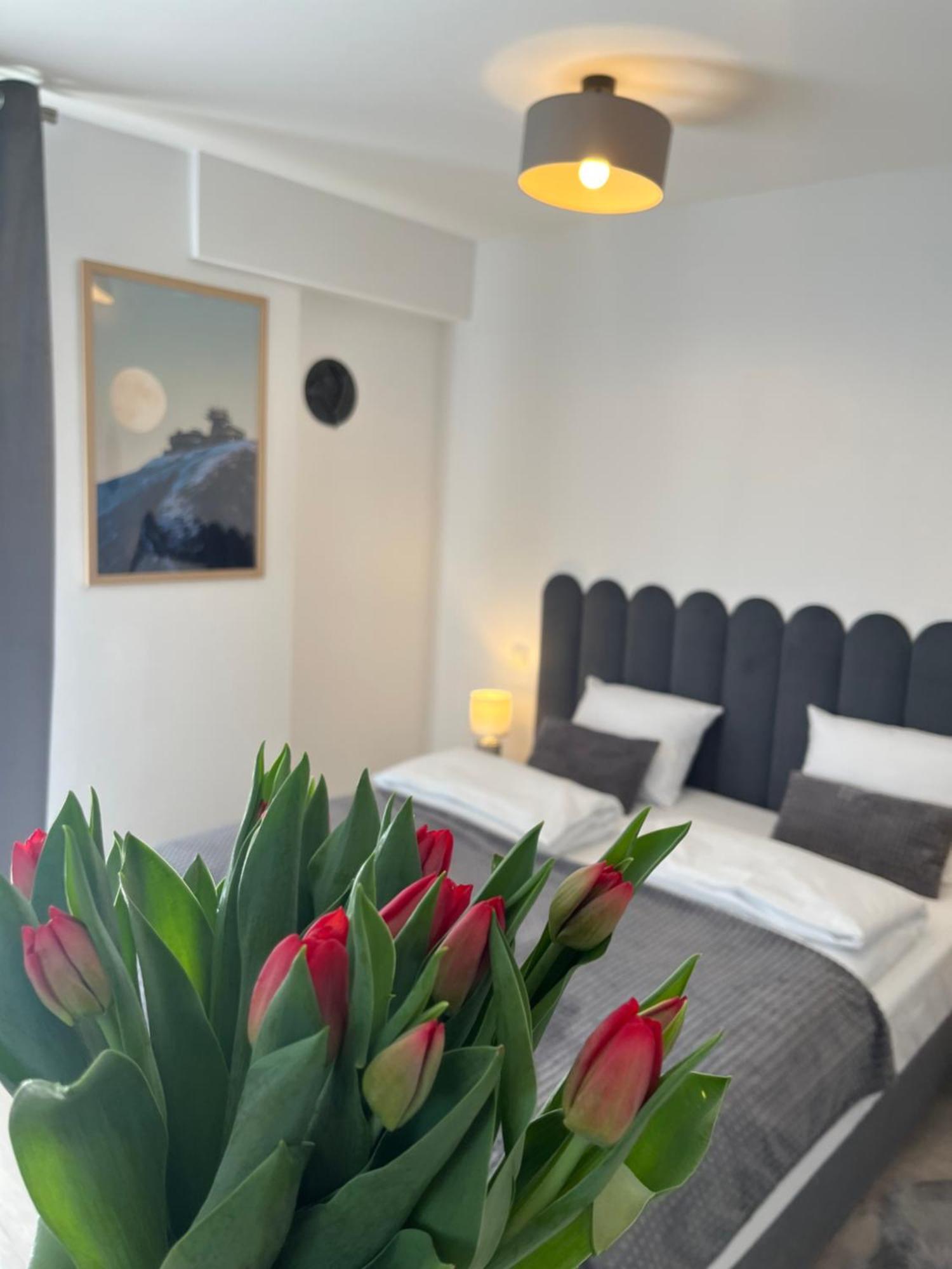 Karkonoskie Widoki Apartamenty Karpacz Dış mekan fotoğraf