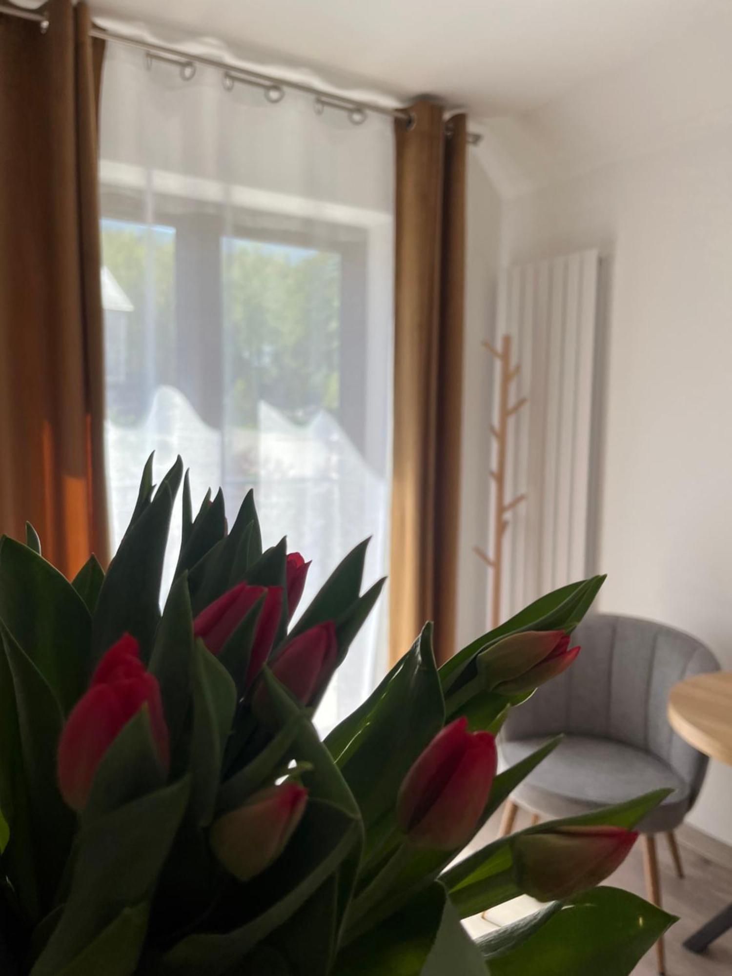 Karkonoskie Widoki Apartamenty Karpacz Dış mekan fotoğraf