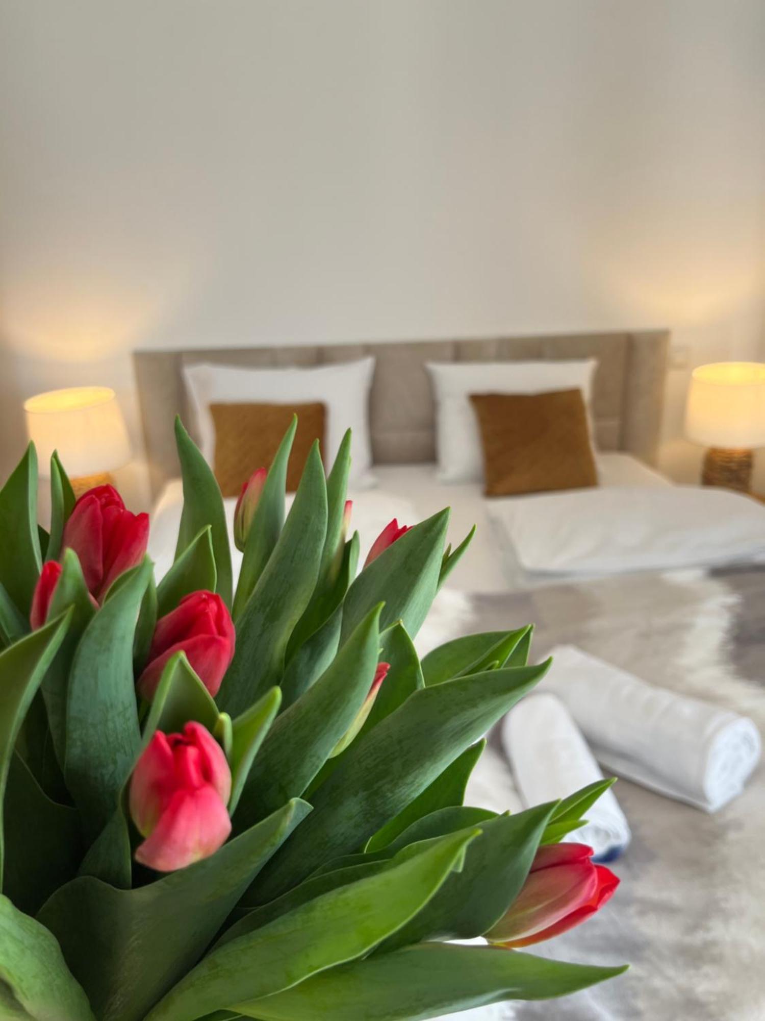 Karkonoskie Widoki Apartamenty Karpacz Dış mekan fotoğraf