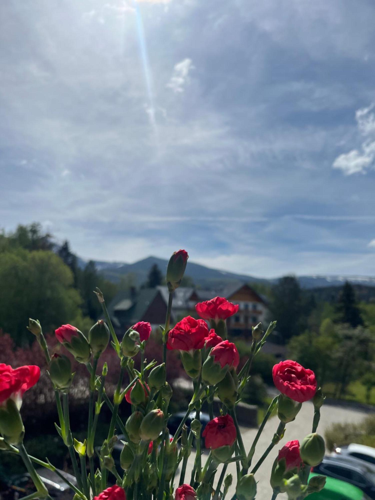 Karkonoskie Widoki Apartamenty Karpacz Dış mekan fotoğraf